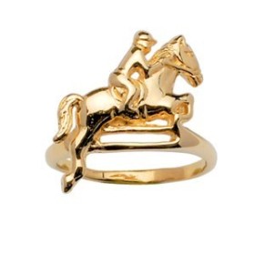 BAGUE EQUITATION PLAQUE OR